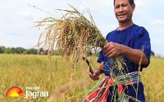 PM Kisan Mandhan Scheme: Farmers Get Rs 3000 Monthly, Over 19 Lakh Enrolled Already; Know Eligibility And Other Details
